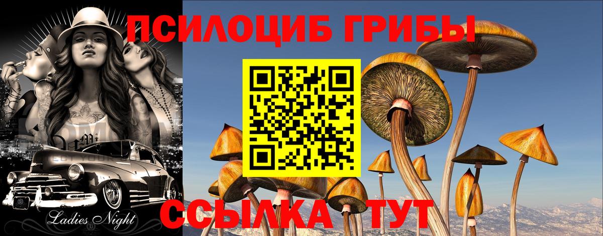 Псилоцибиновые грибы мухоморы  Псилоцибиновые грибы MAGIC MUSHROOMS  Сухой Лог  Вход с VPN 