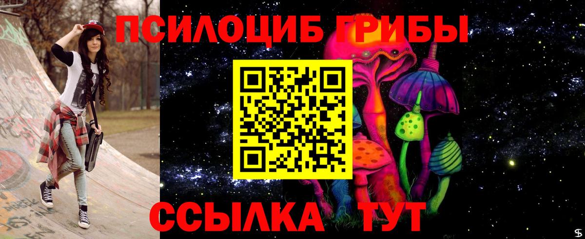 Галлюциногенные грибы прущие грибы Сухой Лог
